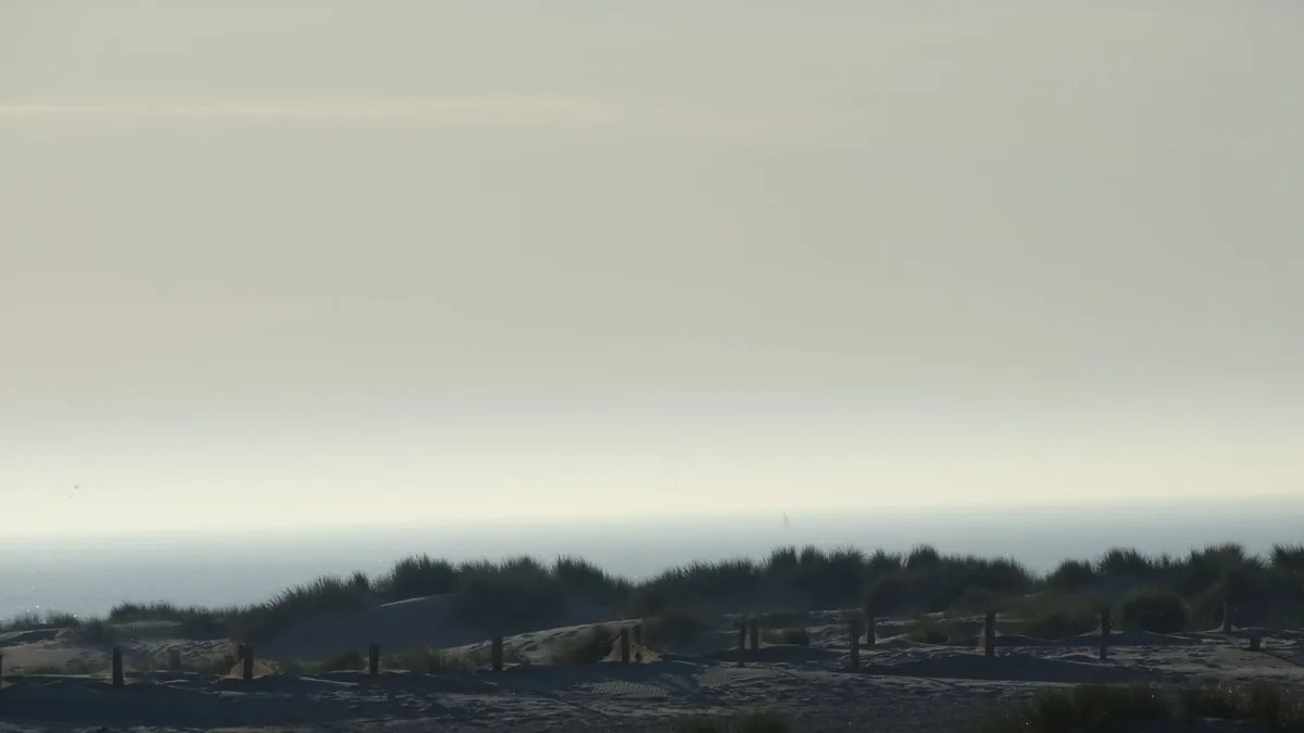 Serene coastal scene featuring sandy dunes and a distant horizon under a soft sky.